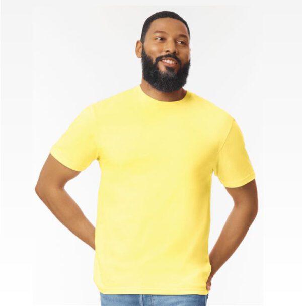 Softstyle T-Shirts
